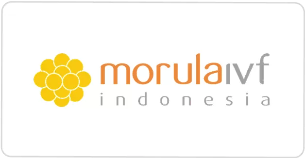 morula